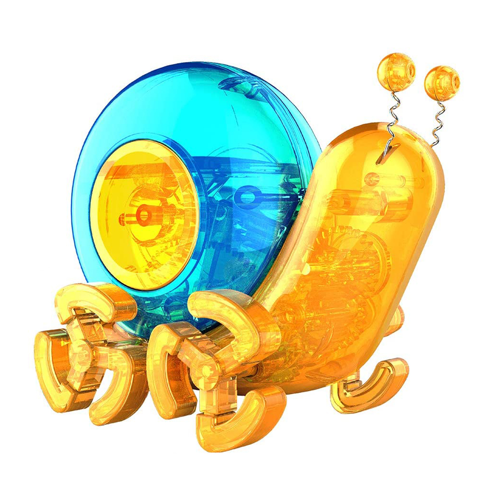 MH595477 solar snail.webp